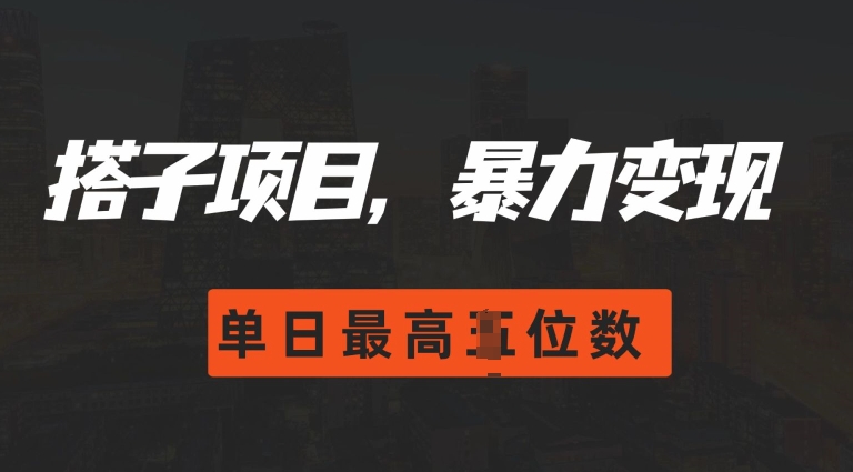 2024搭子玩法，0门槛，暴力变现，单日最高破四位数-天天学吧