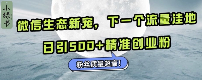 微信生态新宠小绿书：下一个流量洼地，日引500+精准创业粉，粉丝质量超高-天天学吧