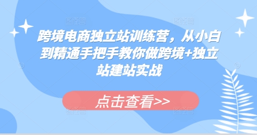 跨境电商独立站训练营，从小白到精通手把手教你做跨境+独立站建站实战-天天学吧