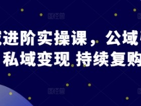 私域进阶实操课，公域引流 私域变现 持续复购-天天学吧