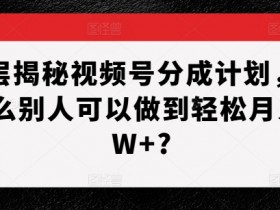 深层揭秘视频号分成计划，为什么别人可以做到轻松月入1W+?-天天学吧