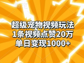 超级宠物视频玩法，1条视频点赞20万，单日变现1k-天天学吧