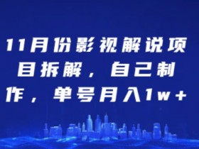 11月份影视解说项目拆解，自己制作，单号月入1w+【揭秘】-天天学吧