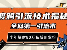 渡鸦引流技术，全网第一引流术，半年辐射80万私域创业粉 【揭秘】-天天学吧