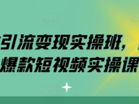 实体引流变现实操班，同城爆款短视频实操课-天天学吧