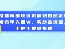 搭建网创项目资源站自动采集发布年入百W，实战全流程，手把手教你搭建【揭秘】-天天学吧