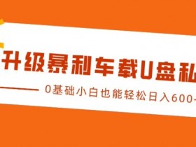 升级暴利车载U盘私域玩法，0基础小白也能轻松日入多张【揭秘】-天天学吧