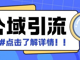 全公域平台，引流创业粉自热模版玩法，号称日引500+创业粉可矩阵操作-天天学吧