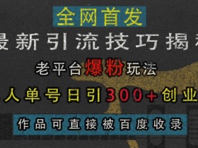 最新引流技巧揭秘，老平台爆粉玩法，单人单号日引300+创业粉，作品可直接被百度收录-天天学吧