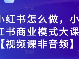 小红书怎么做，小红书商业模式大课【视频课非音频】-天天学吧