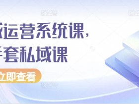 私域运营系统课，白手套私域课-天天学吧