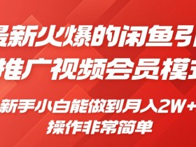 闲鱼引流推广影视会员，0成本就可以操作，新手小白月入过W+【揭秘】-天天学吧