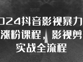 2024抖音影视暴力起号涨粉课程，影视剪辑搬运实战全流程-天天学吧