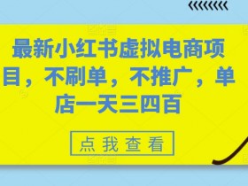 最新小红书虚拟电商项目，不刷单，不推广，单店一天三四百-天天学吧