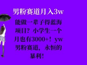 能做一辈子的蓝海项目？小学生一个月也有3000+，yw男粉赛道，永恒的暴利-天天学吧