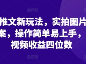 小说推文新玩法，实拍图片+小说文案，操作简单易上手，单条视频收益四位数-天天学吧