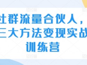 社群流量合伙人，三大方法变现实战训练营-天天学吧