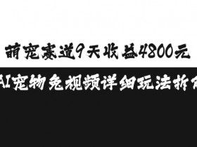 萌宠赛道9天收益4800元，AI宠物免视频详细玩法拆解-天天学吧