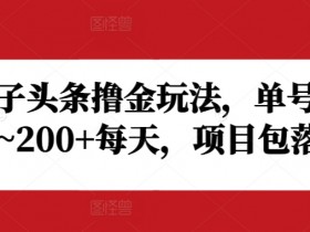 野路子头条撸金玩法，单号收益20~200+每天，项目包落地-天天学吧