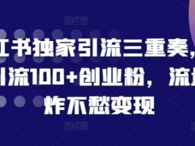 小红书独家引流三重奏，当天引流100+创业粉，流量爆炸不愁变现【揭秘】-天天学吧