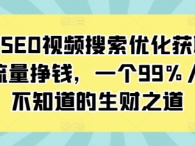 抖音SEO视频搜索优化获取免费流量挣钱，一个99%人还不知道的生财之道-天天学吧