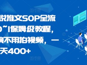 最新小说推文SOP全流程，从0~1保姆级教程，不用出镜不用拍视频，一天400+-天天学吧