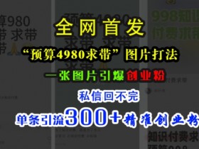 小红书“预算4980带我飞”图片打法，一张图片引爆创业粉，私信回不完，单条引流300+精准创业粉-天天学吧