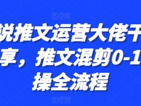 小说推文运营大佬干货分享，推文混剪0-1实操全流程-天天学吧