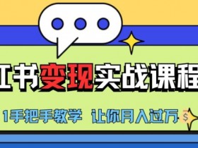 小红书推广实战训练营，小红书从0-1“变现”实战课程，教你月入过W【揭秘】-天天学吧