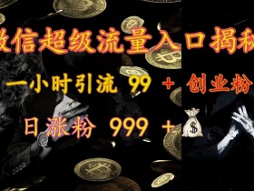 微信超级流量入口揭秘：一小时引流 99 + 创业粉，日涨粉 999 +-天天学吧