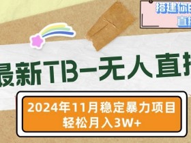 【最新TB-无人直播】11月最新，打造你的日不落直播间，轻松月入过W【揭秘】-天天学吧