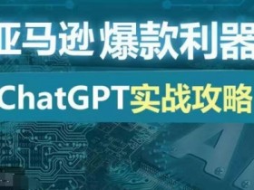 亚马逊爆款利器：ChatGPT实战攻略，以最低的成本和最高的效率打造日出百单的爆品-天天学吧