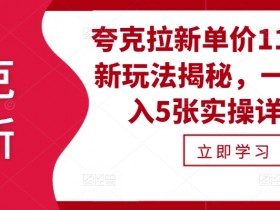 夸克拉新单价11米最新玩法揭秘，一天收入5张实操详解-天天学吧