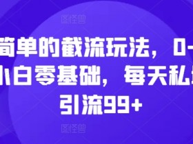 简单的截流玩法，0-1小白零基础，每天私域引流99+【揭秘】-天天学吧