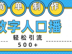 简单制作数字人口播轻松引流500+精准创业粉【揭秘】-天天学吧