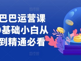 阿里巴巴运营课程，0基础小白从入门到精通必看-天天学吧