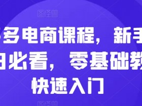 拼多多电商课程，新手纯小白必看，零基础教学快速入门-天天学吧