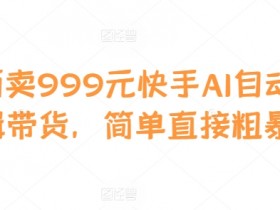 外面卖999元快手AI自动剪辑带货，简单直接粗暴-天天学吧