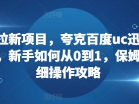 网盘拉新项目，夸克百度uc迅雷一起搞，新手如何从0到1，保姆级详细操作攻略-天天学吧