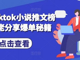 海外tiktok小说推文榜二大佬分享爆单秘籍-天天学吧