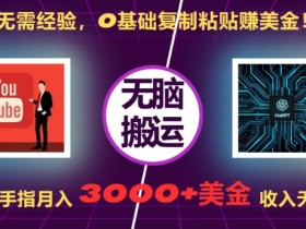 无需经验，0基础复制粘贴赚美刀，动动手指，月入3000+刀，无上限【揭秘】-天天学吧