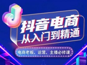 抖音电商从入门到精通，​从账号、流量、人货场、主播、店铺五个方面，全面解析抖音电商核心逻辑-天天学吧