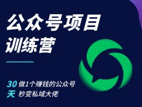 公众号项目训练营，30天做1个赚钱的公众号，秒变私域大佬-天天学吧