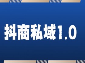 抖商服务私域1.0，抖音引流获客详细教学-天天学吧