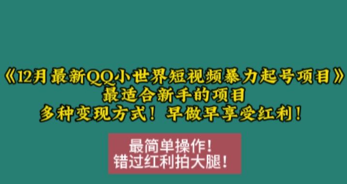 图片[1]-12月最新QQ小世界短视频暴力起号项目，最适合新手的项目，多种变现方式-天天学吧