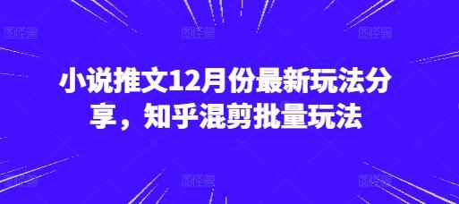 图片[1]-小说推文12月份最新玩法分享，知乎混剪批量玩法-天天学吧