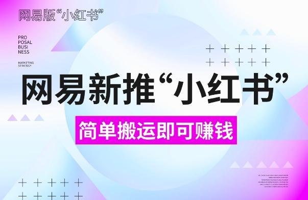 图片[1]-网易官方新推“小红书”，搬运即有收益，新手小白千万别错过(附详细教程)【揭秘】-天天学吧