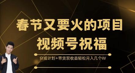 图片[1]-春节又要火的项目视频号祝福，分成计划+带货双收益，轻松月入几个W【揭秘】-天天学吧