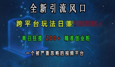 图片[1]-全新引流风口，跨平台玩法日入上k，单日狂揽200+精准创业粉，一个被严重忽略的视频平台-天天学吧