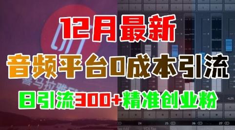 图片[1]-12月最新：音频平台0成本引流，日引流300+精准创业粉-天天学吧